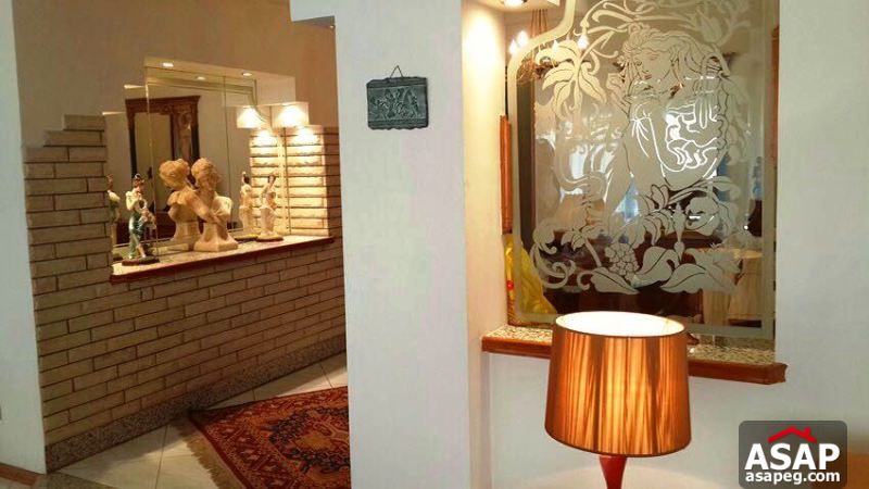 Furnished Apartment with Big Terrace in Zamalek Furnished Apartment with Big Terrace in Zamalek