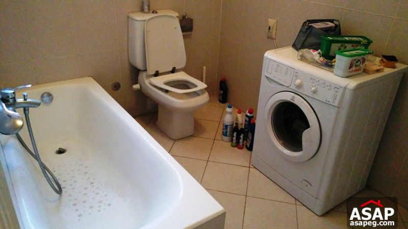 Apartment for Rent in Zamalek