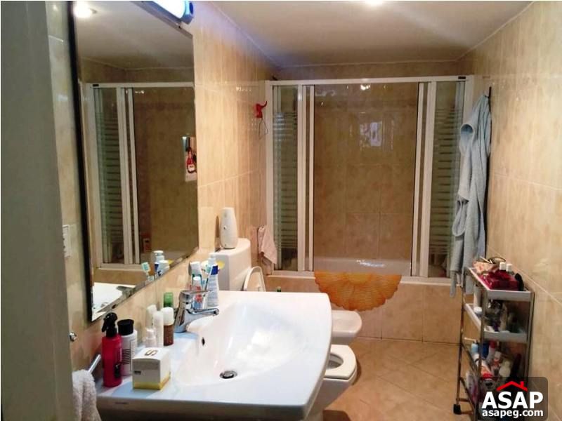 Apartment for Rent in Zamalek Apartment for Rent in Zamalek