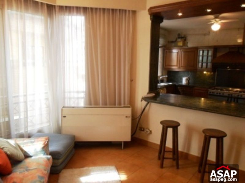 Apartment for Rent in Dokki