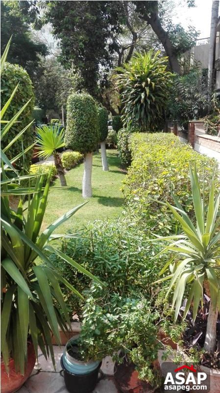 Apartment with Garden View in Sarayat El Maadi Apartment with Garden View in Sarayat El Maadi