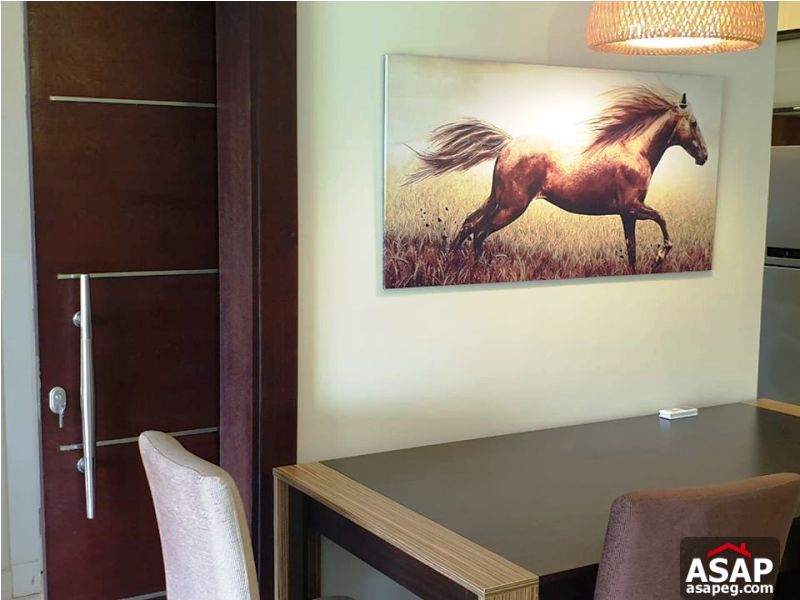 Studio for Rent in the Village Palm Hills Studio for Rent in the Village Palm Hills