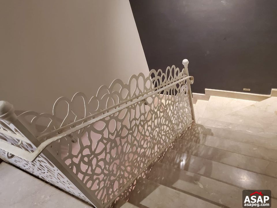 Penthouse for Rent in Park View