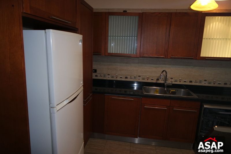 Apartment for Rent in Zamalek Apartment for Rent in Zamalek