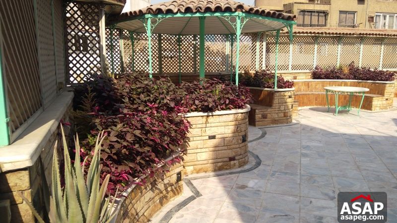 Apartment for rent in zamalek Apartment for rent in zamalek