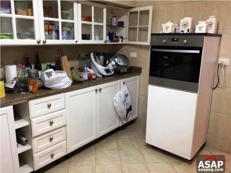 Apartment for Rent in Zamalek Apartment for Rent in Zamalek