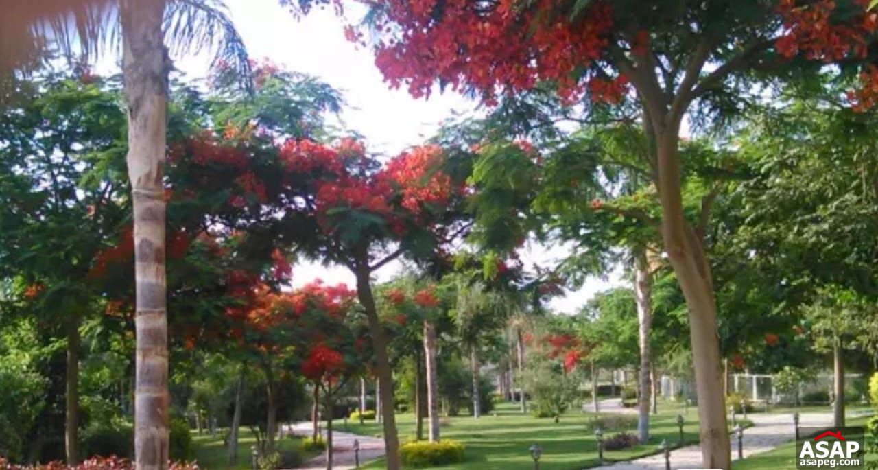 Villa for Sale in Flower Park Compound