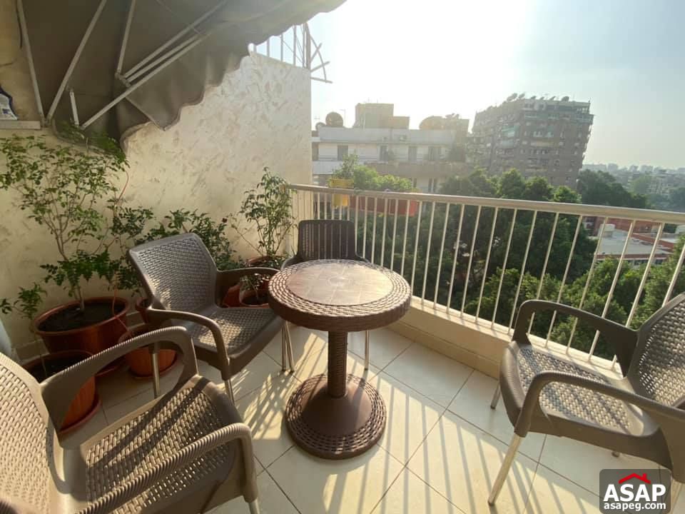 Nice Flat for Rent in Zamalek Nice Flat for Rent in Zamalek