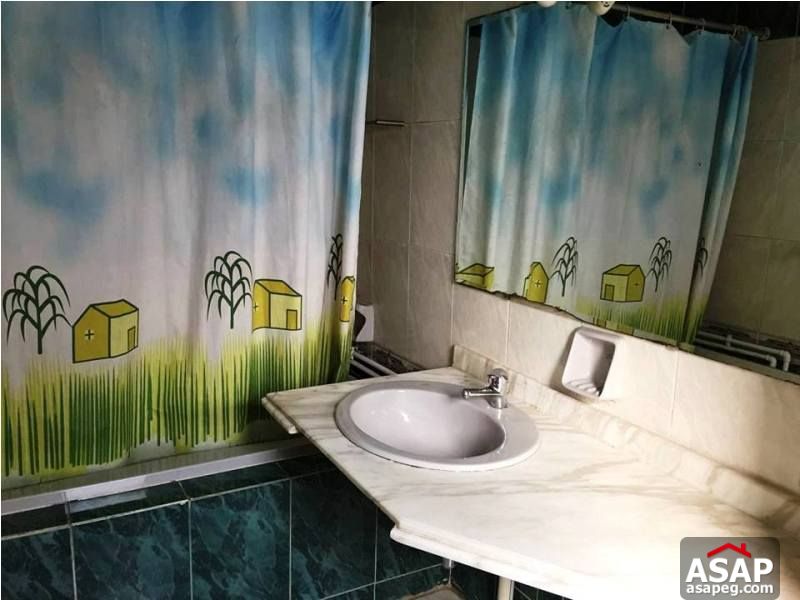 Amazing Furnished Apartment in Maadi for Rent