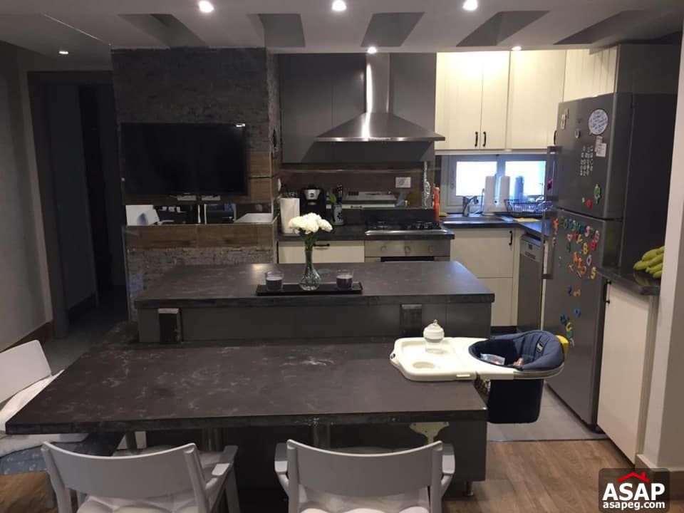 Furnished Flat for Rent in Zamalek Furnished Flat for Rent in Zamalek