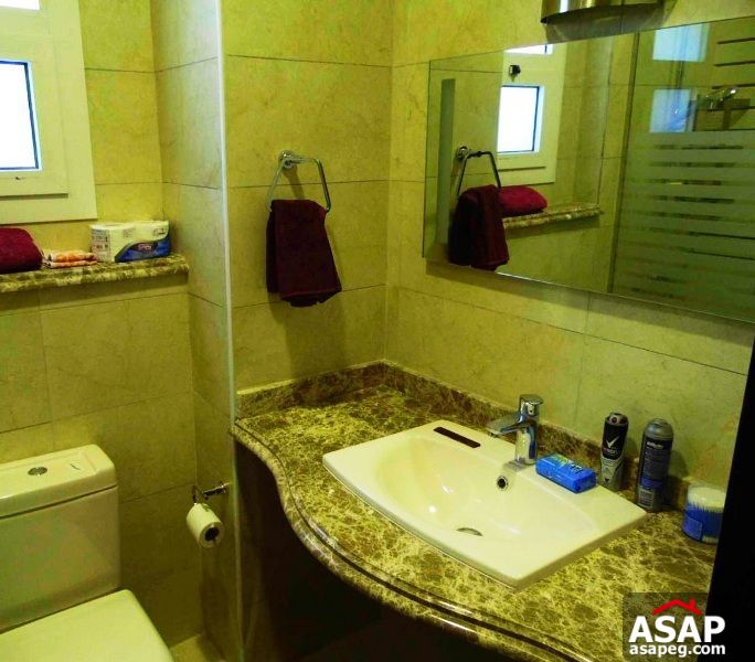 Furnished Apartment for Rent in Katameya Plaza Furnished Apartment for Rent in Katameya Plaza
