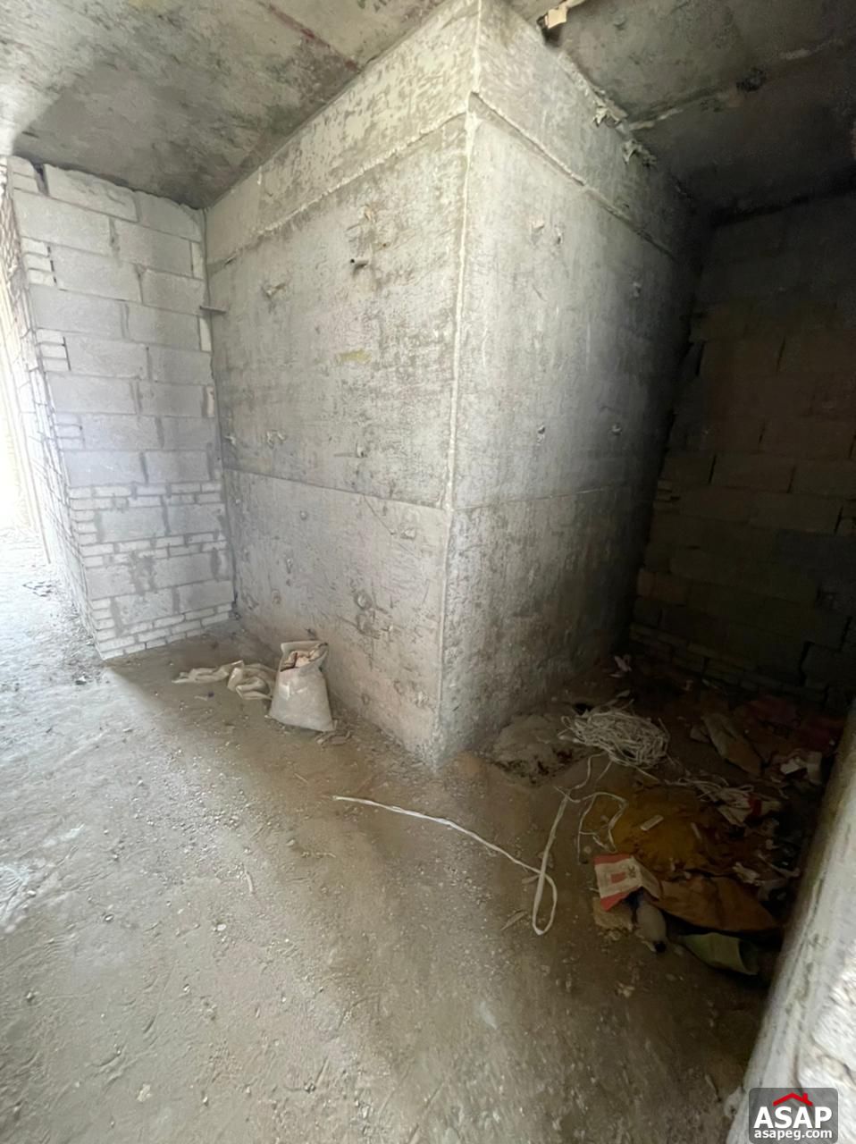 Penthouse with Pool for Sale in Lake View Residence Penthouse with Pool for Sale in Lake View Residence