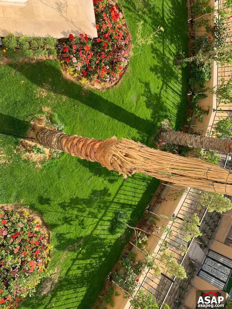 Rent Villa in Tagamoa