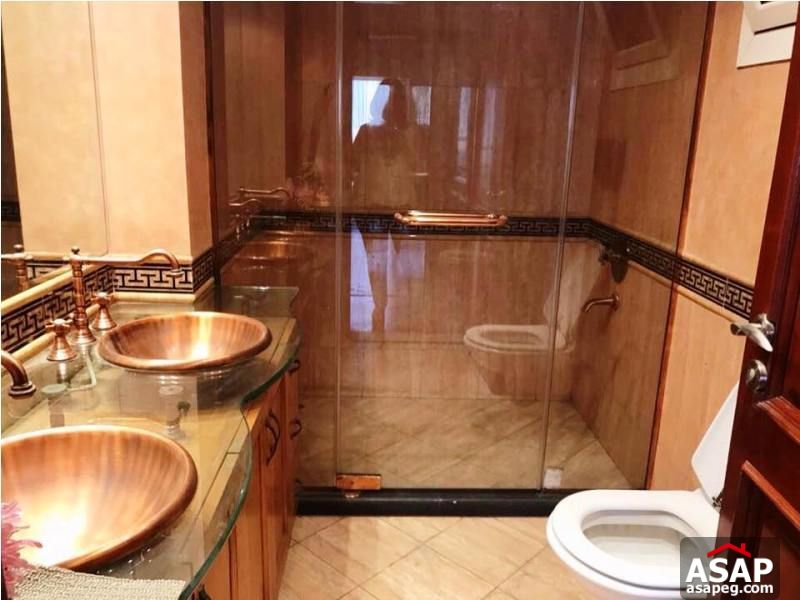 Furnished Apartment with Nile View in Zamalek Furnished Apartment with Nile View in Zamalek
