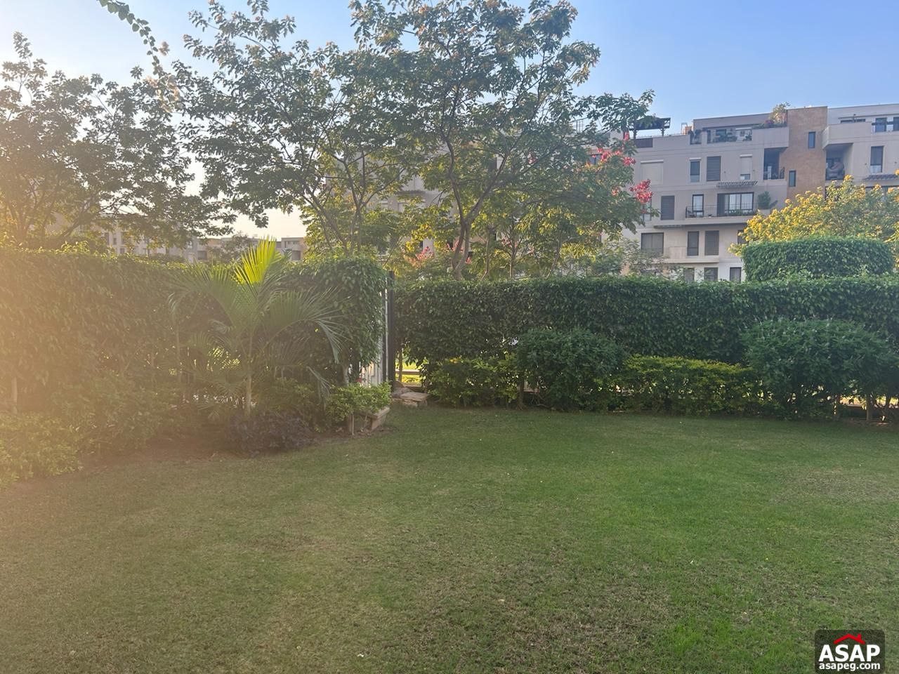 Duplex with Garden for Rent in Eastown Sodic Duplex with Garden for Rent in Eastown Sodic