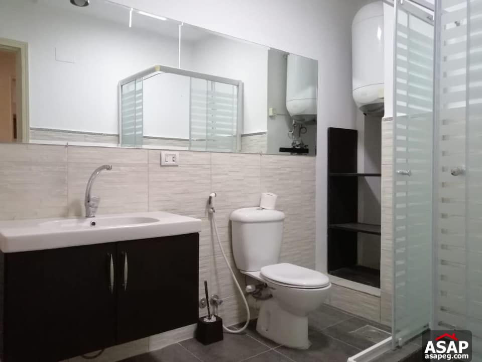 Apartment for Rent in Zamalek Apartment for Rent in Zamalek