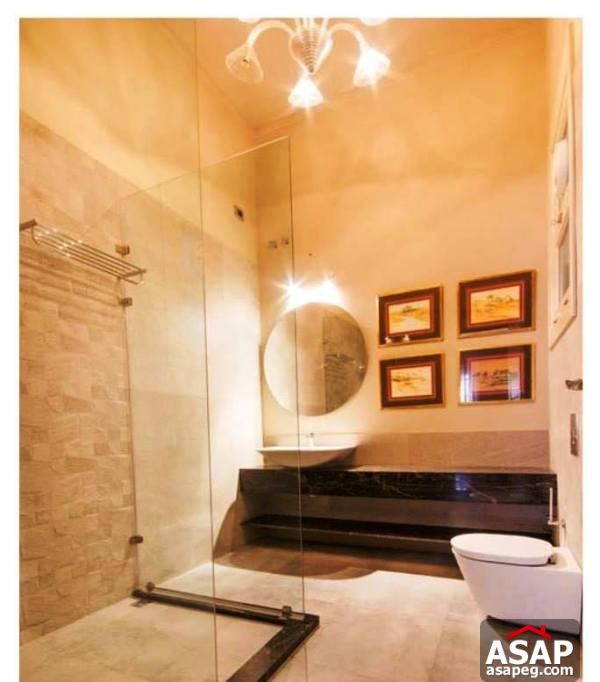 Furnished Apartment for Rent in Zamalek Furnished Apartment for Rent in Zamalek