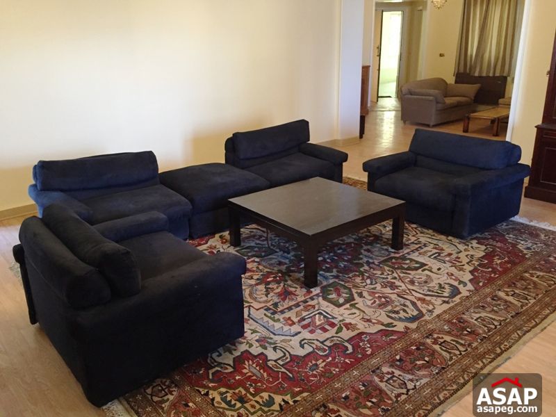 Apartment for Rent in Zamalek Apartment for Rent in Zamalek