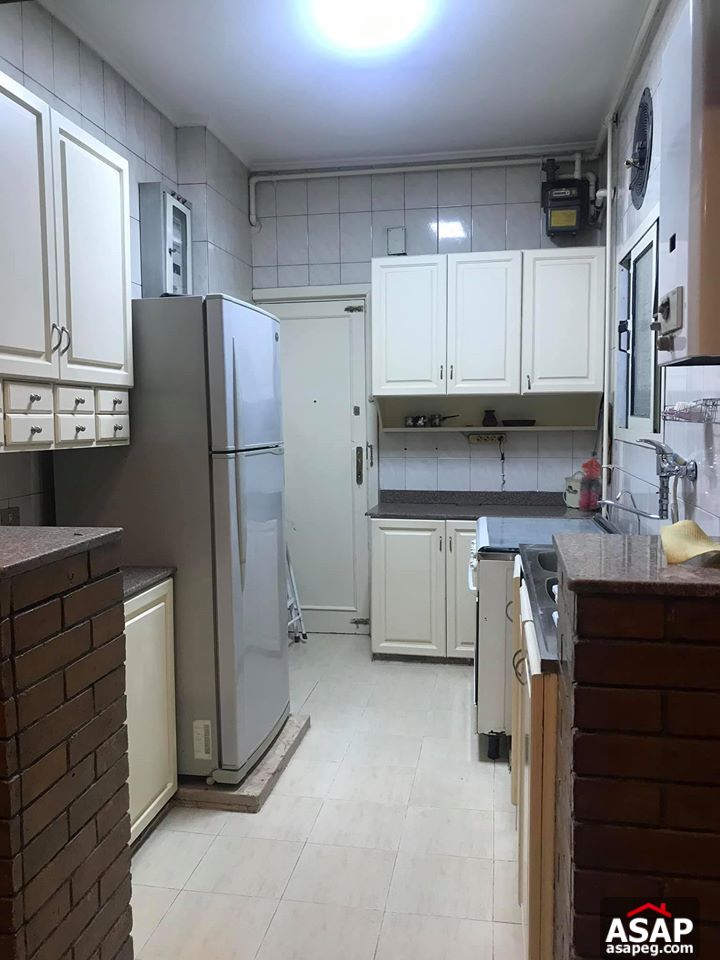 Apartment for Rent in Zamalek Apartment for Rent in Zamalek