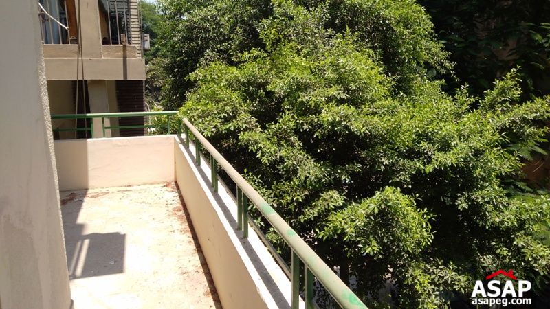 Apartment for rent in zamalek