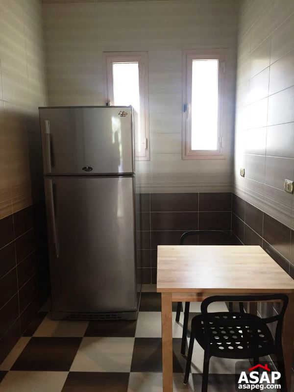 Fully Furnished Apartment in Zamalek Fully Furnished Apartment in Zamalek