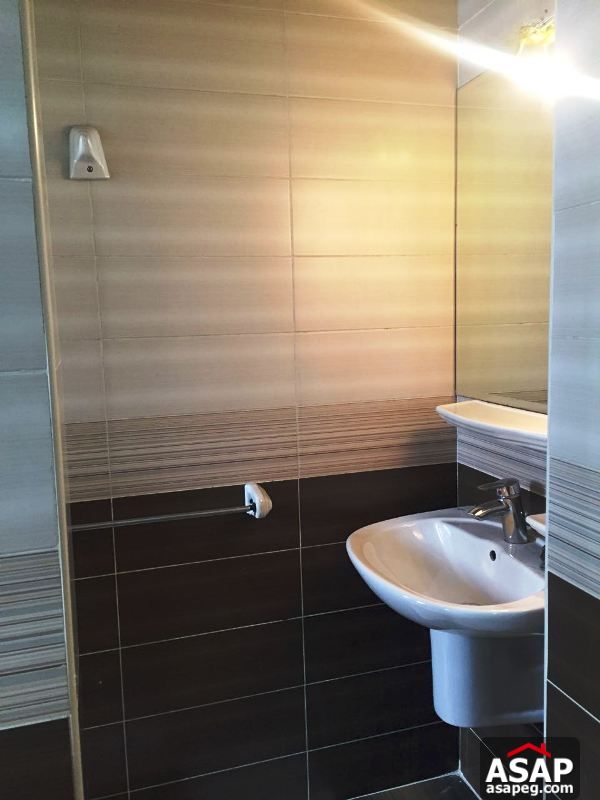 Fully Furnished Apartment in Zamalek Fully Furnished Apartment in Zamalek