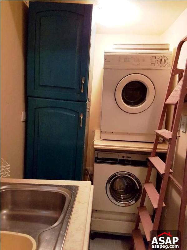 Apartment for Rent in Zamalek