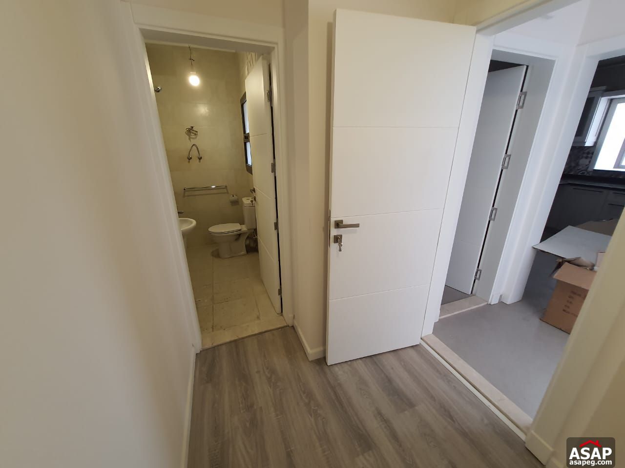 Apartment for Rent in Hyde Park Apartment for Rent in Hyde Park