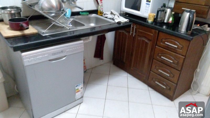 Apartment for Rent in Zamalek