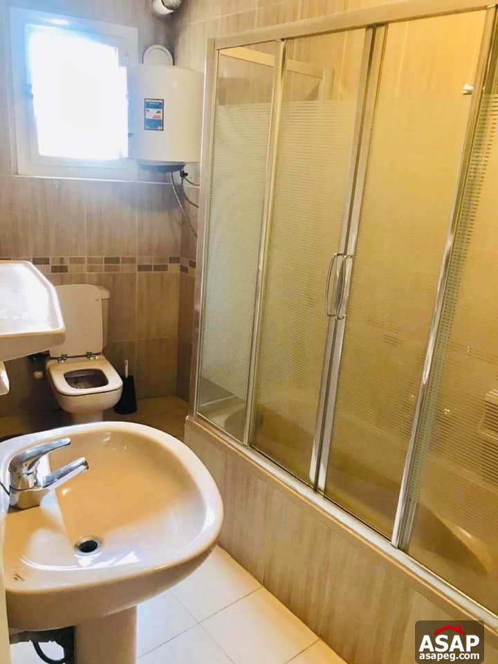 Apartment for Rent in Zamalek Apartment for Rent in Zamalek