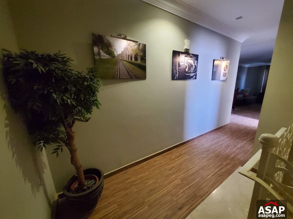 Penthouse for Rent in Park View