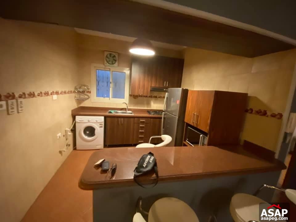 Apartment for Rent in Zamalek Apartment for Rent in Zamalek