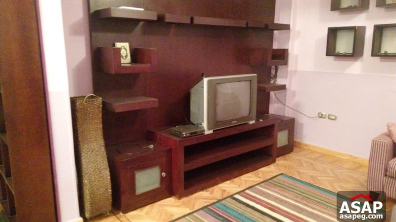 Fully Furnished Apartment for Rent in Zamalek Fully Furnished Apartment for Rent in Zamalek