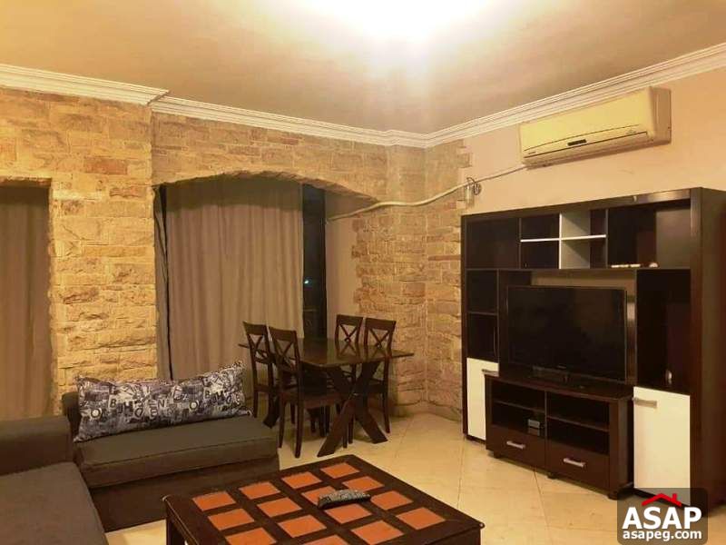 Furnished Apartment for Rent in Maadi Degla