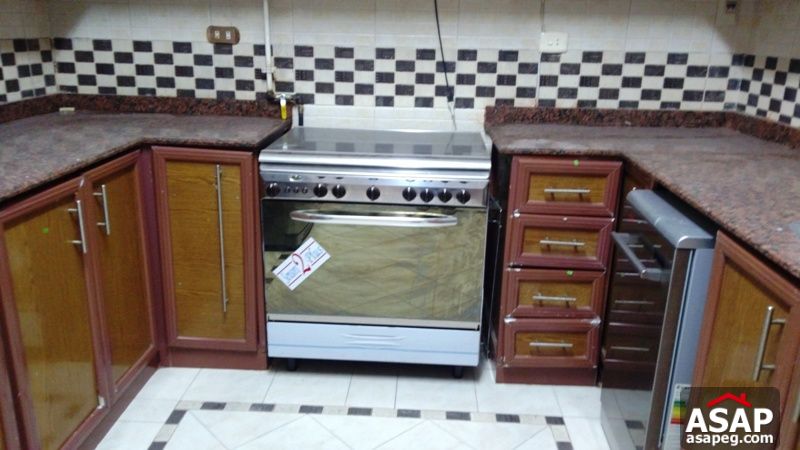 Apartment with Terrace for Rent in Zamalek Apartment with Terrace for Rent in Zamalek