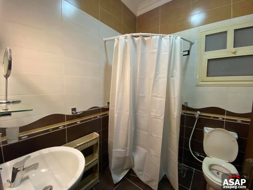 Apartment for Rent in Zamalek Apartment for Rent in Zamalek