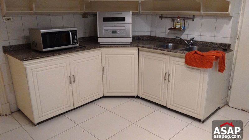 Furnished Apartment with Terrace in Zamalek for Rent Furnished Apartment with Terrace in Zamalek for Rent