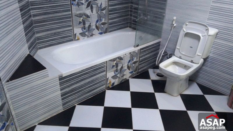 Furnished Apartment for Rent in Zamalek