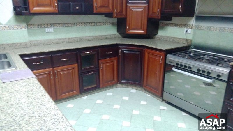 Furnished Apartment for Rent in Zamalek