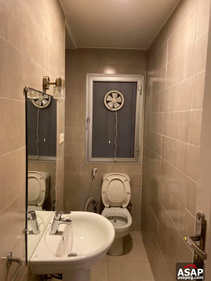 Apartment for Rent in Zamalek Apartment for Rent in Zamalek