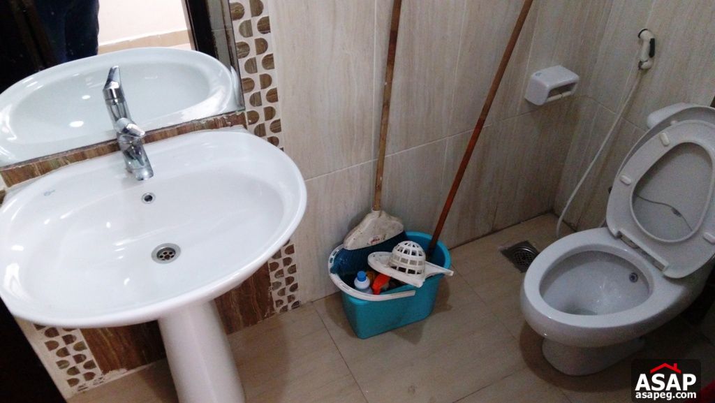 Furnished Apartment with Big Kitchen for Rent in Zamalek