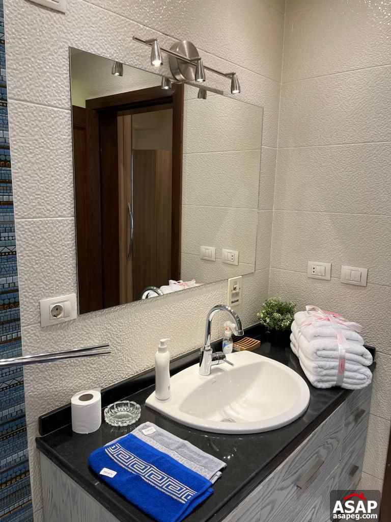 Furnished Apartment for Rent in Eastown Furnished Apartment for Rent in Eastown