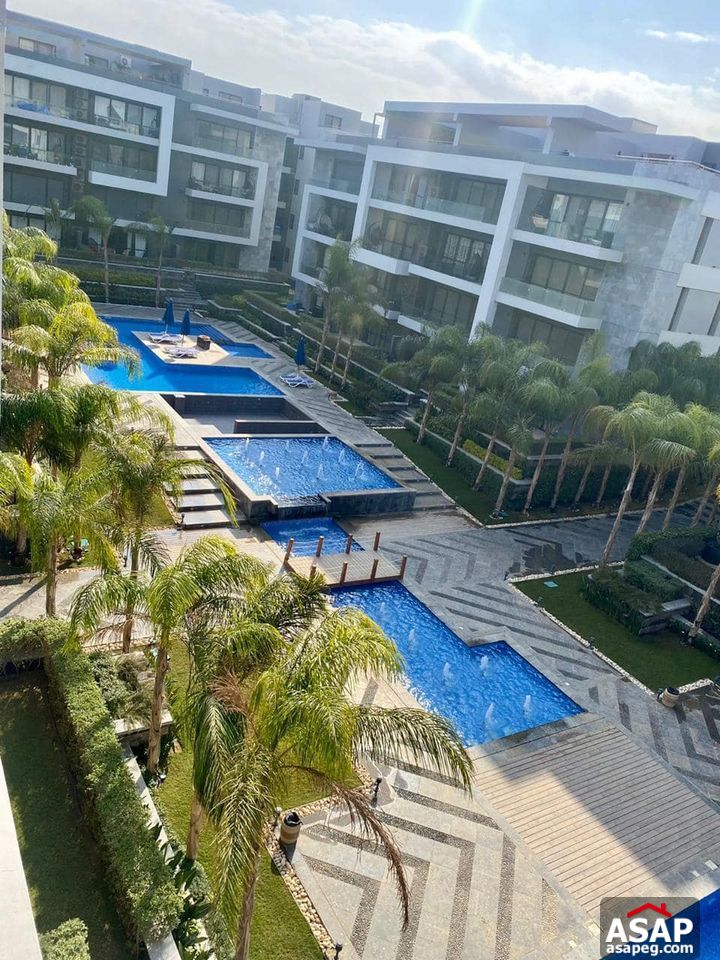 Penthouse with Pool View for Rent in EL Patio 7 Penthouse with Pool View for Rent in EL Patio 7