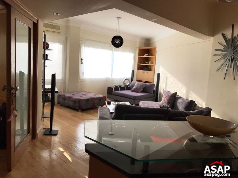 Furnished Studio for Rent in Zamalek Furnished Studio for Rent in Zamalek