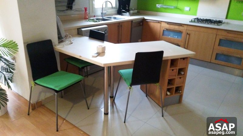 Nice Furnished Studio in Agouza Nice Furnished Studio in Agouza