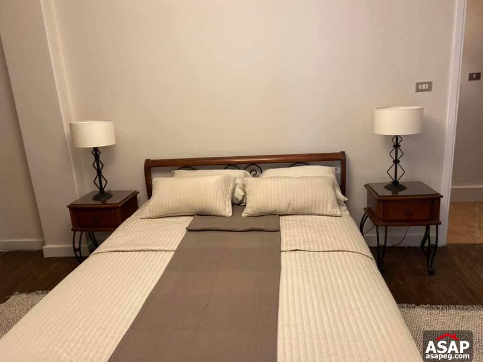 Apartment for Rent in Zamalek Apartment for Rent in Zamalek