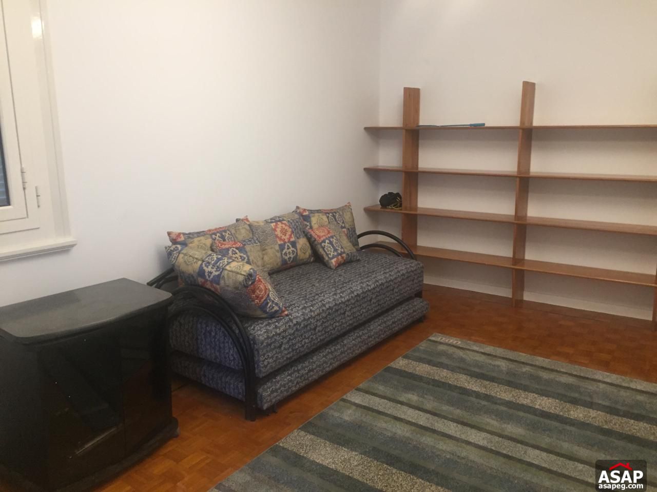 Flat with Nile View in Zamalek