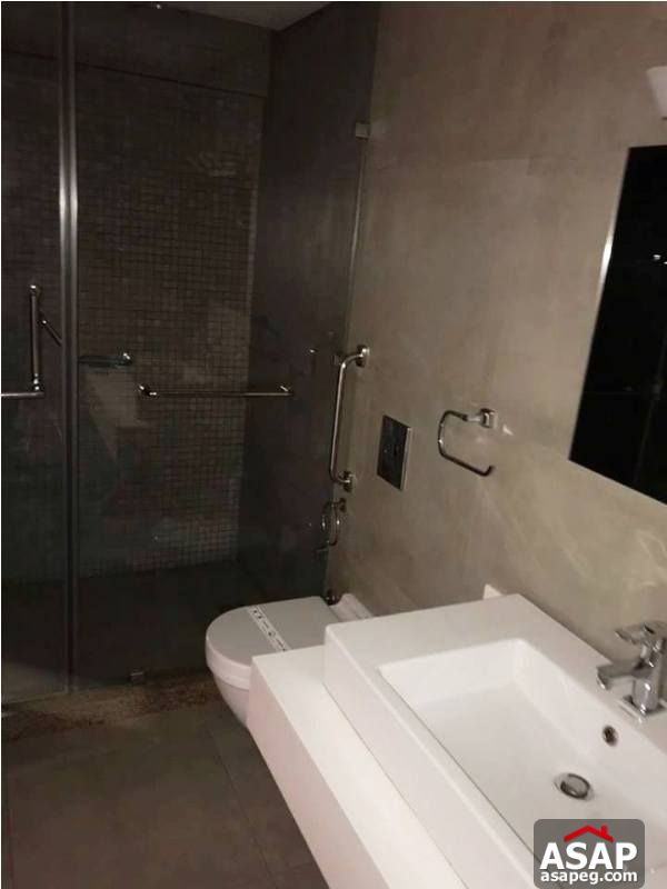 Flat with Nice View in Zamalek for Sale Flat with Nice View in Zamalek for Sale