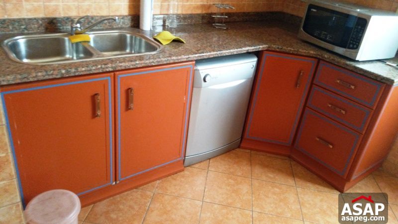 Apartment for rent in zamalek