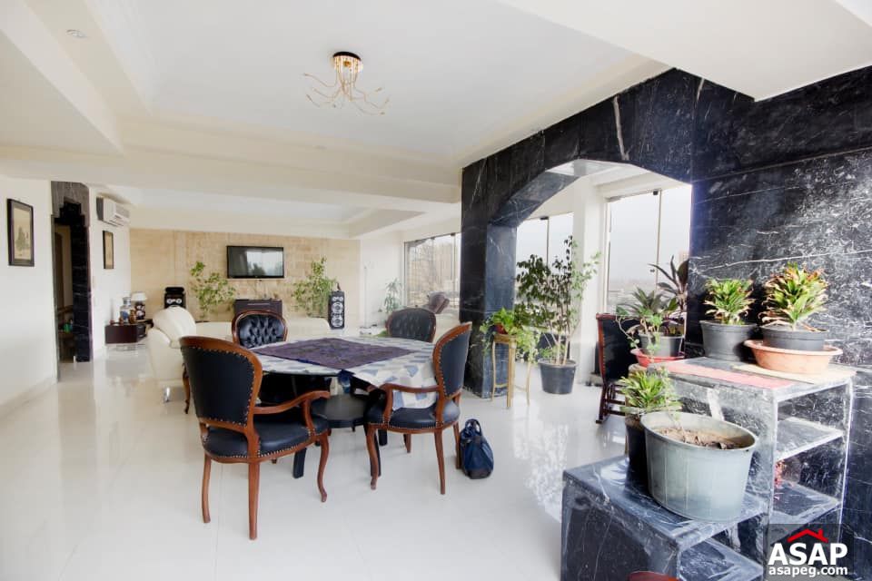 Apartment for Rent in Zamalek Apartment for Rent in Zamalek